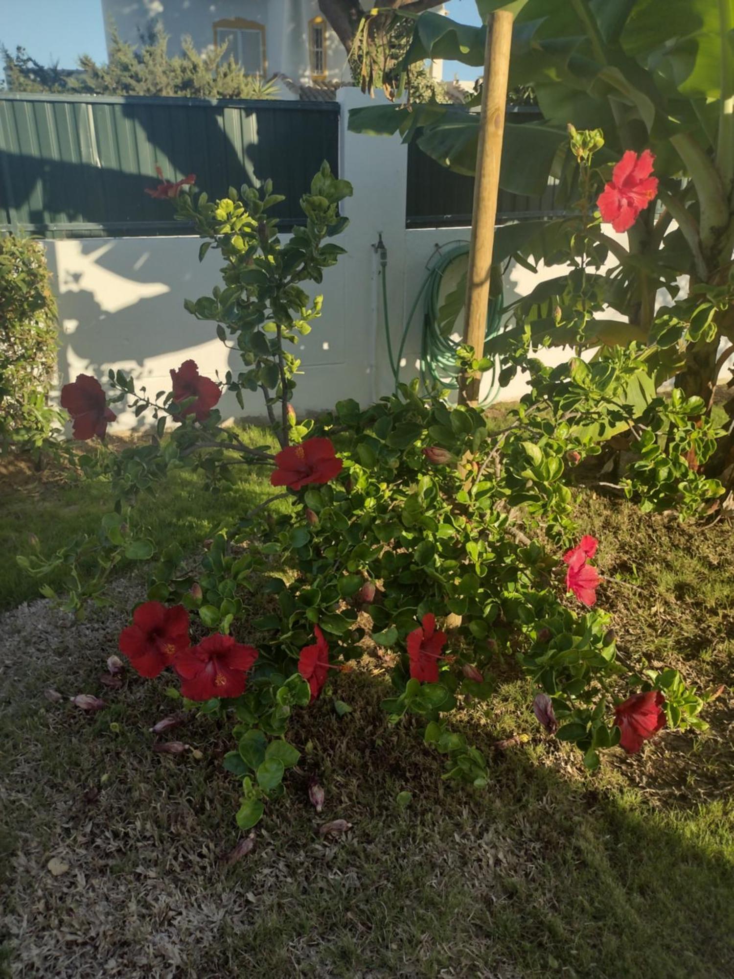 Nightingale Villa Albufeira Zewnętrze zdjęcie